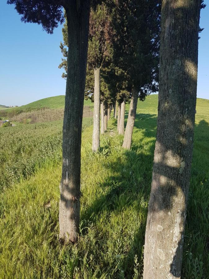 Niccoli * Castelfiorentino