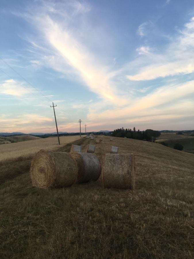 Bed & Breakfast Niccoli