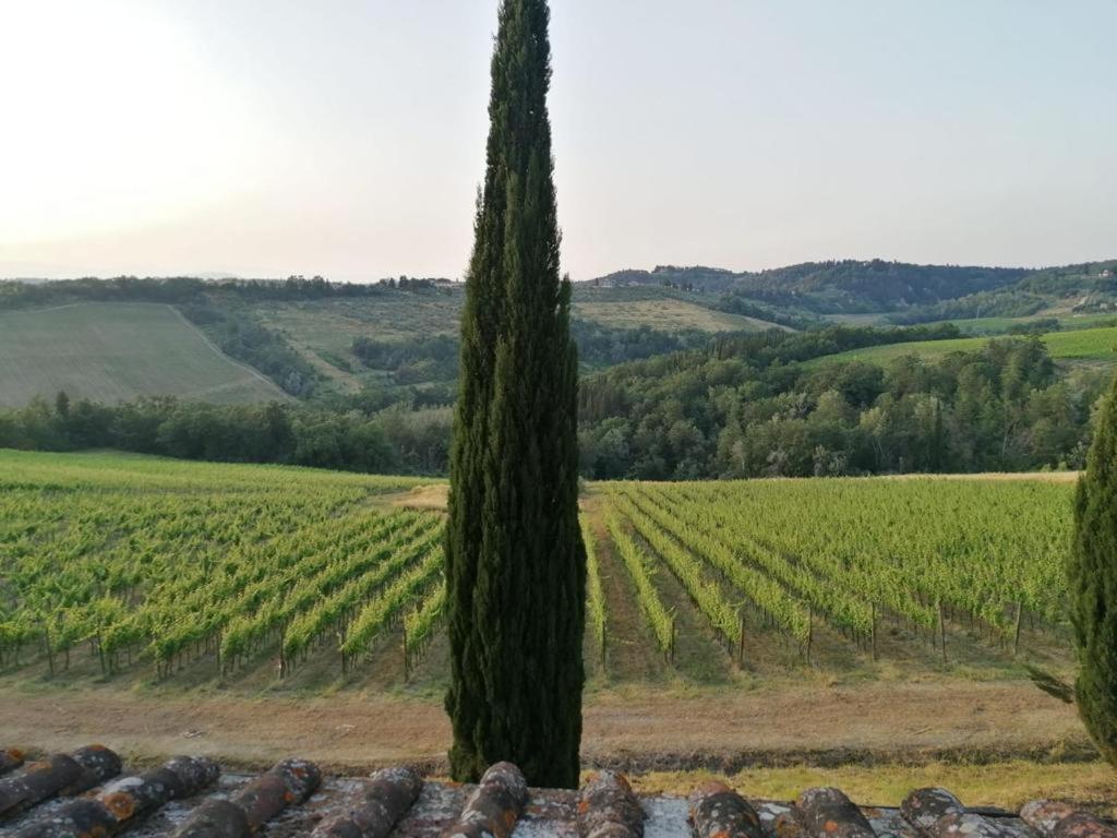 Niccoli * Castelfiorentino